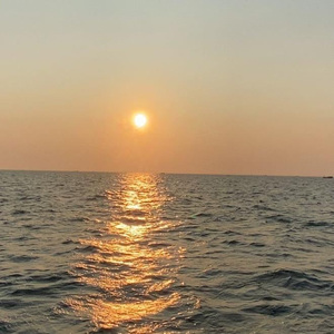 色五月婷婷青草高潮内射
