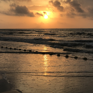 色五月婷婷青草高潮内射
